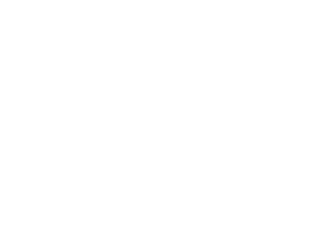 The Hotel Bemidji