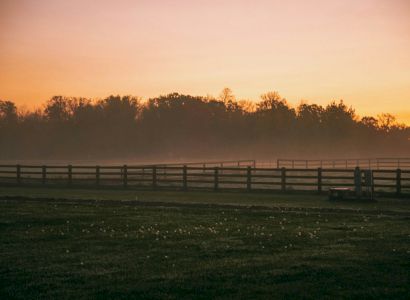 The image shows a serene sunset over a misty field with a wooden fence and distant trees silhouetted against an orange-pink sky.